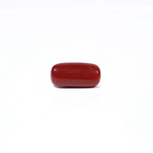 Red Coral - 4.22 Carat - Pramogh
