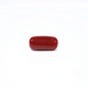 Red Coral - 4.22 Carat - Pramogh