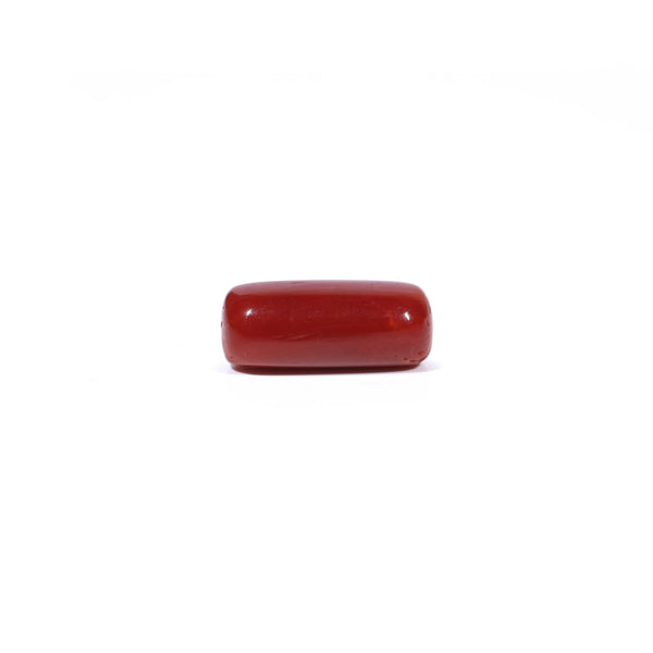 Red Coral - 4.22 Carat