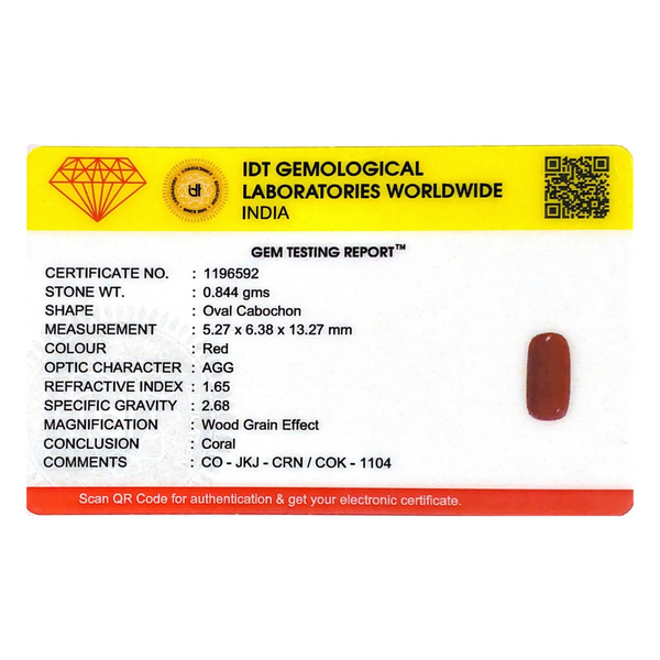 Red Coral - 4.22 Carat