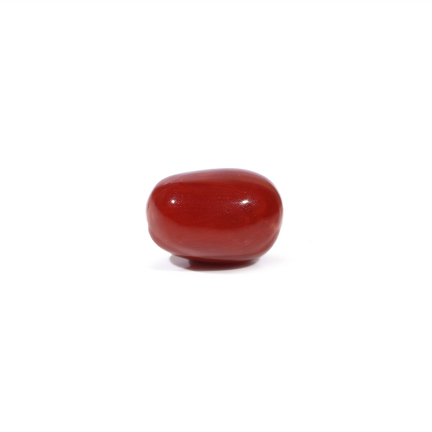 Red Coral - 3.6 Carat - Pramogh