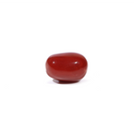 Red Coral - 3.6 Carat - Pramogh