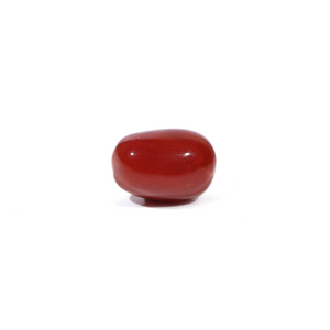 Red Coral - 3.6 Carat - Pramogh
