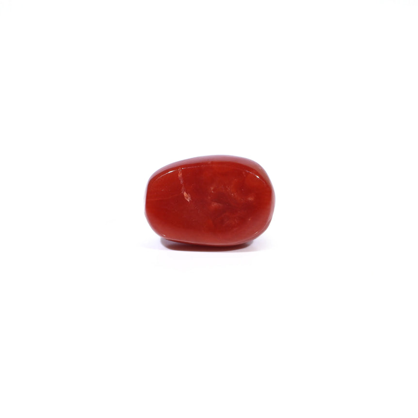 Red Coral - 3.6 Carat