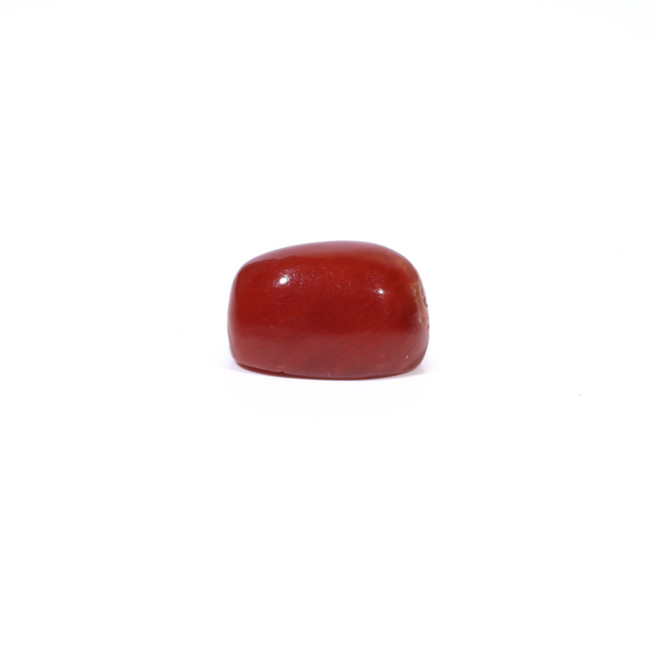 Red Coral - 3.6 Carat