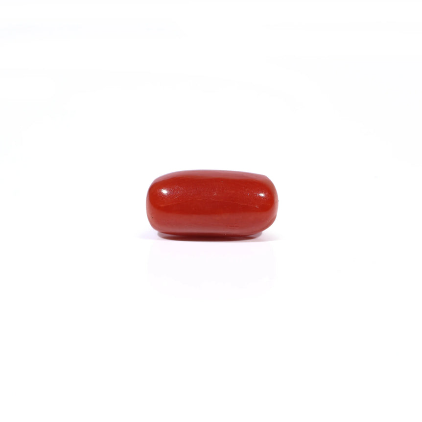Red Coral - 3.6 Carat - Pramogh