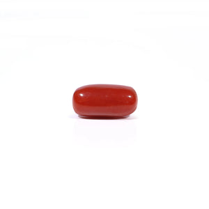 Red Coral - 3.6 Carat - Pramogh