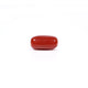 Red Coral - 3.6 Carat - Pramogh
