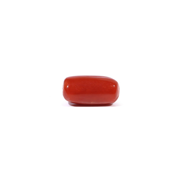 Red Coral - 3.6 Carat