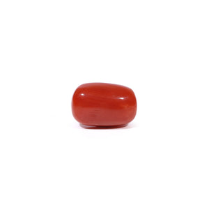 Red Coral - 3.21 Carat - Pramogh