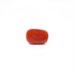 Red Coral - 3.21 Carat