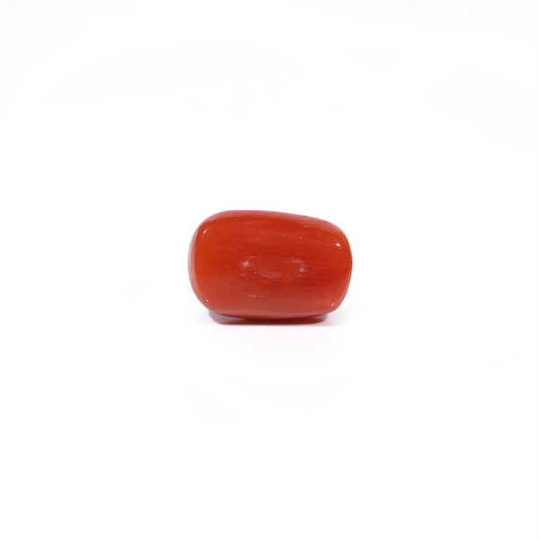 Red Coral - 3.21 Carat