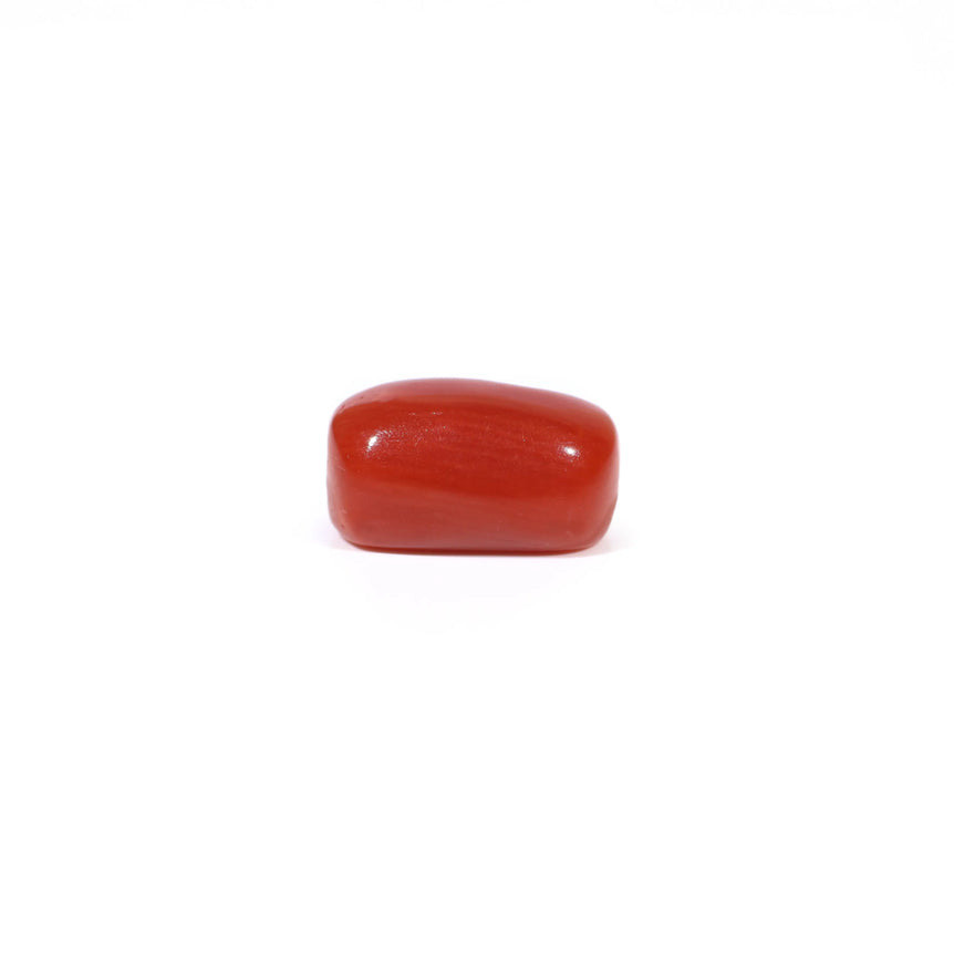Red Coral - 3.21 Carat