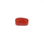 Red Coral - 3.21 Carat