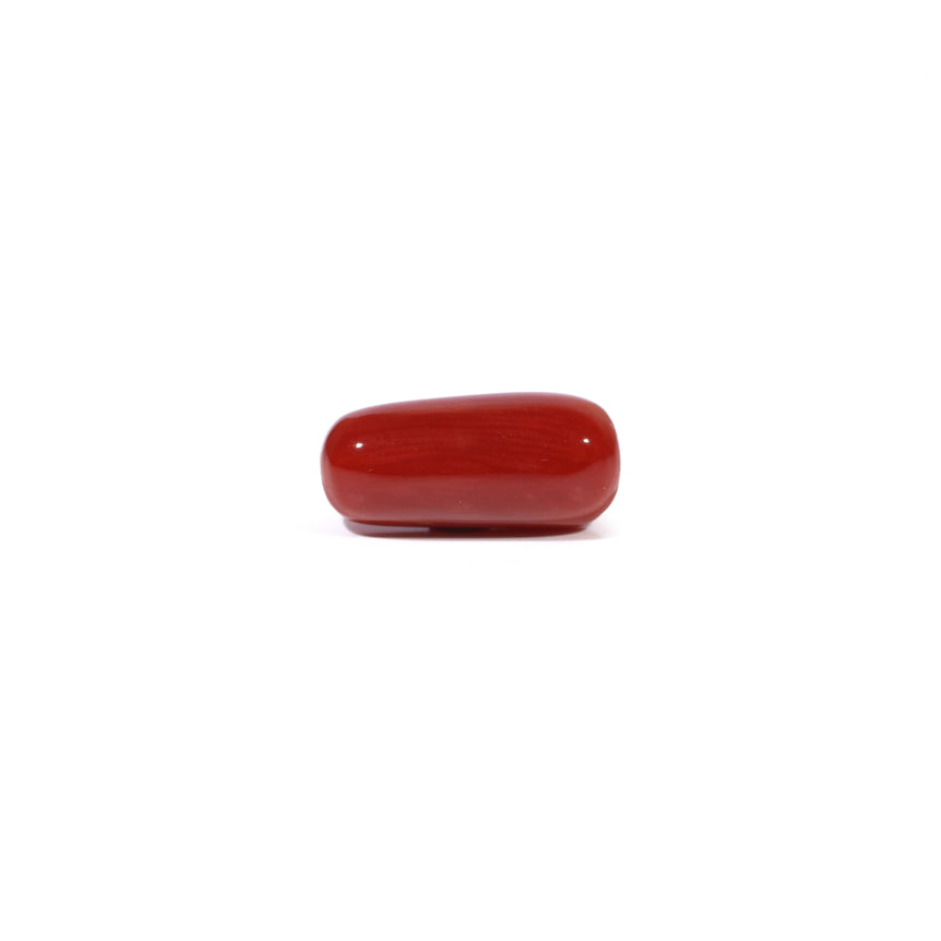 Red Coral - 5.18 Carat - Pramogh