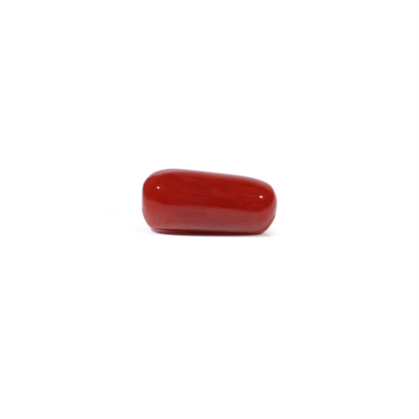 Red Coral - 5.18 Carat