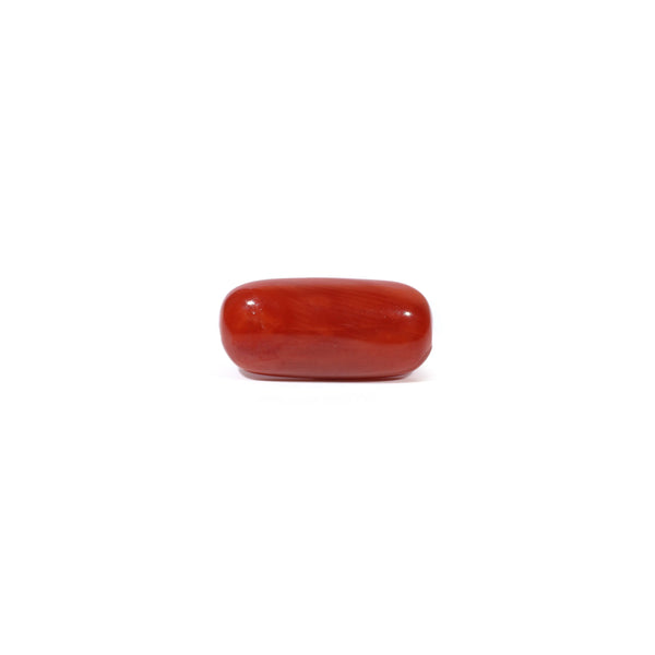 Red Coral - 4.5 Carat - Pramogh