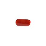 Red Coral - 4.5 Carat