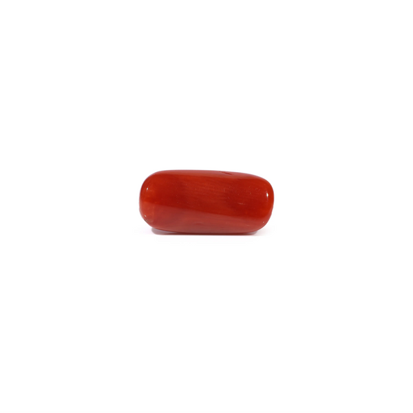 Red Coral - 4.5 Carat
