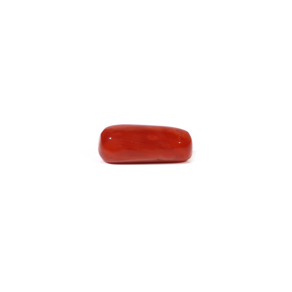 Red Coral - 4.5 Carat