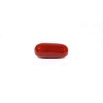 Red Coral - 5.09 Carat - Pramogh