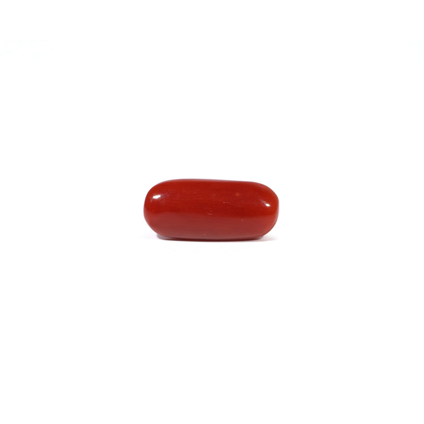 Red Coral - 5.09 Carat