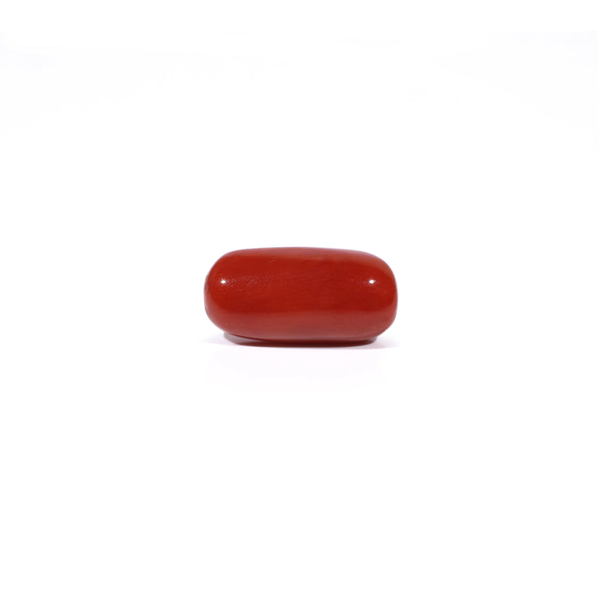 Red Coral - 4.54 Carat - Pramogh