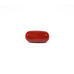 Red Coral - 4.54 Carat - Pramogh