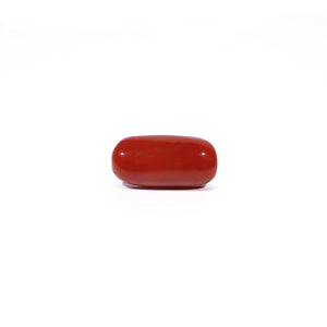 Red Coral - 4.54 Carat - Pramogh