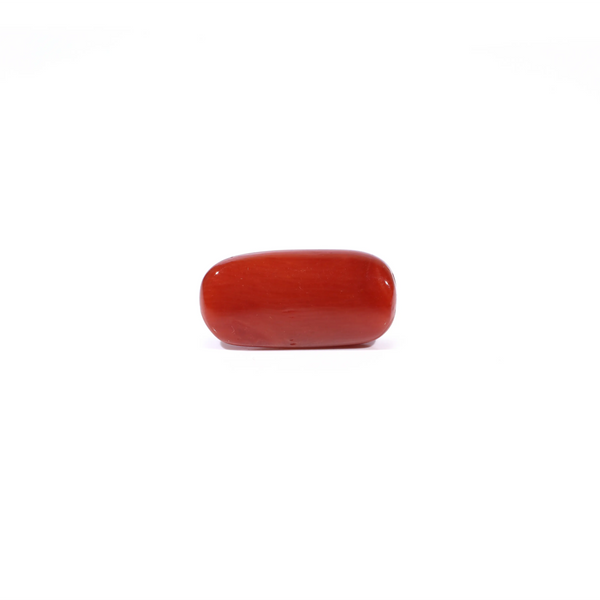 Red Coral - 4.54 Carat
