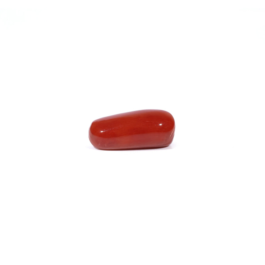 Red Coral - 4.54 Carat