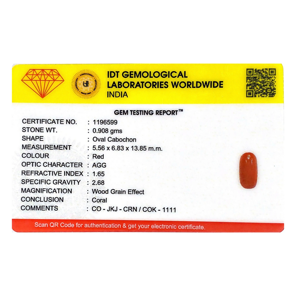 Red Coral - 4.54 Carat