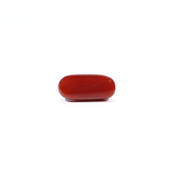 Red Coral - 4.67 Carat