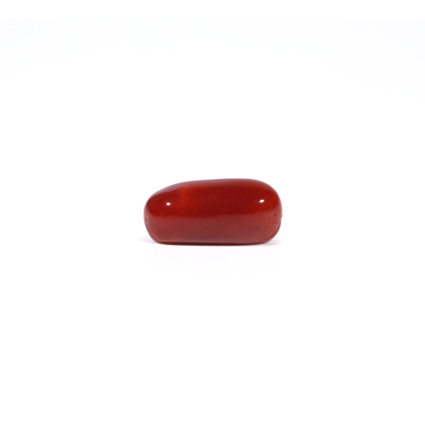 Red Coral - 4.67 Carat