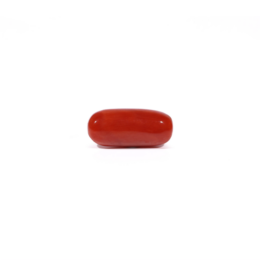 Red Coral - 4.36 Carat - Pramogh