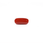 Red Coral - 4.36 Carat - Pramogh