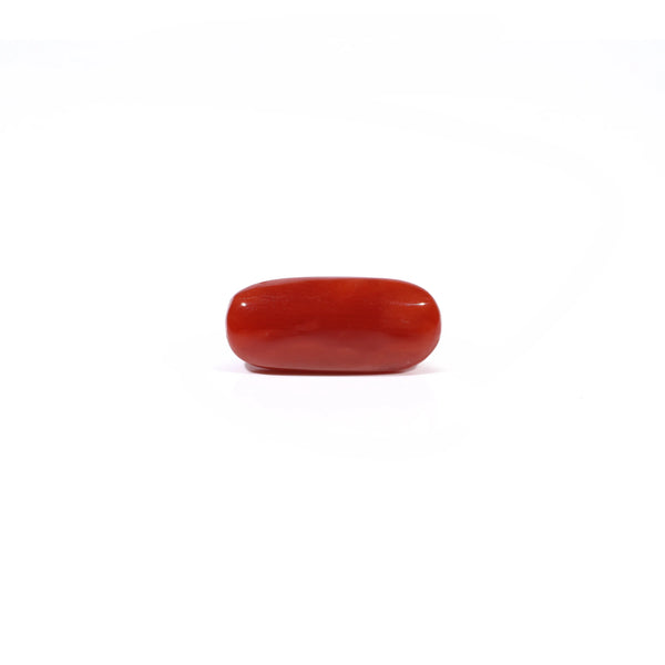 Red Coral - 4.36 Carat