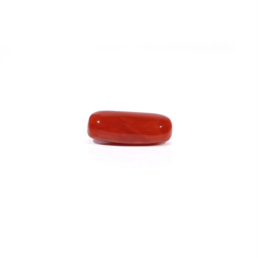 Red Coral - 4.36 Carat