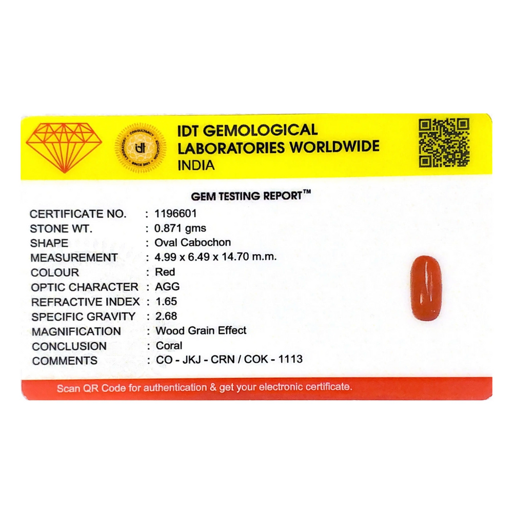 Red Coral - 4.36 Carat