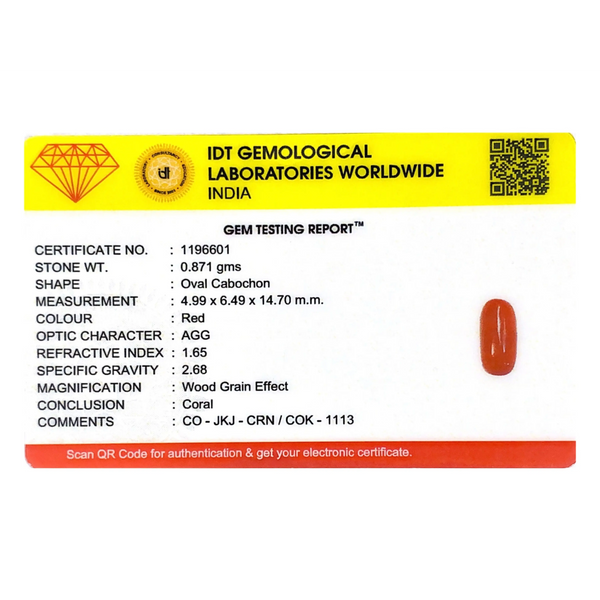 Red Coral - 4.36 Carat