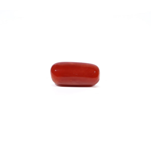 Red Coral - 5.16 Carat - Pramogh