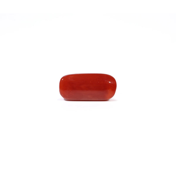 Red Coral - 5.16 Carat