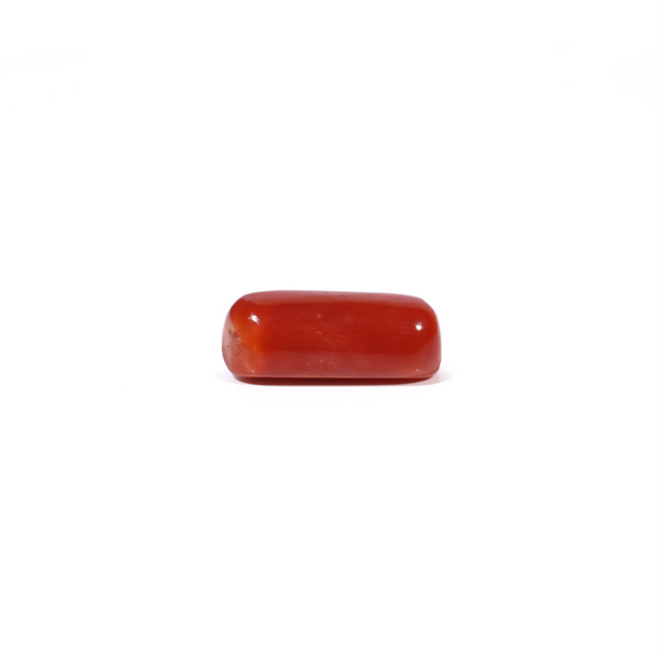 Red Coral - 5.16 Carat