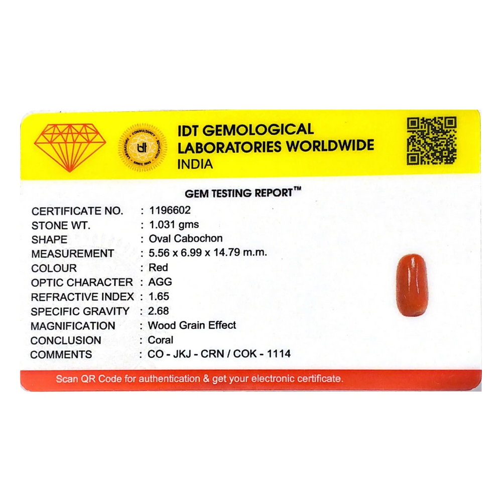 Red Coral - 5.16 Carat