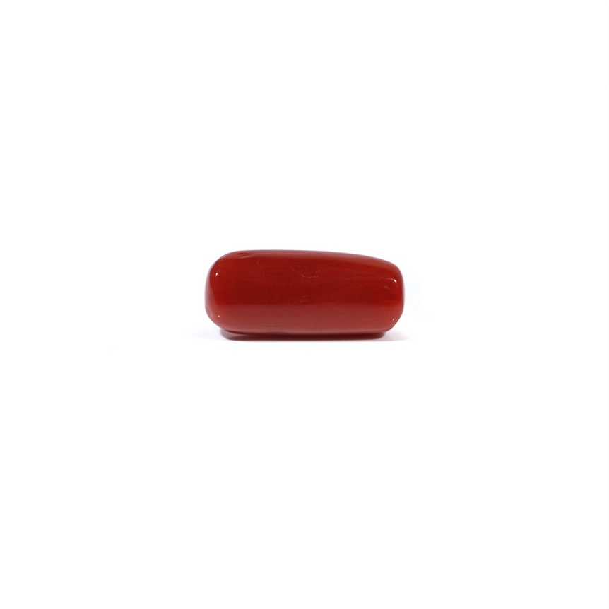 Red Coral - 4.5 Carat