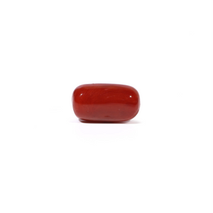 Red Coral - 4.63 Carat - Pramogh