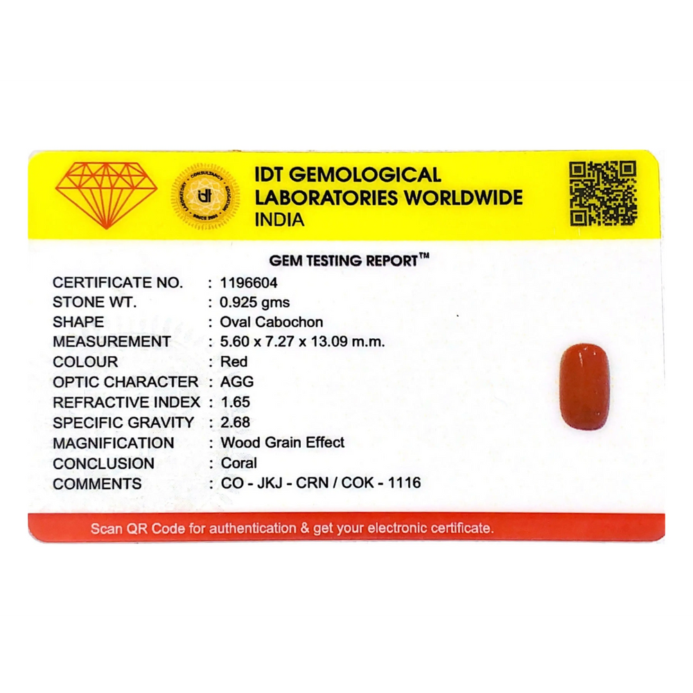 Red Coral - 4.63 Carat