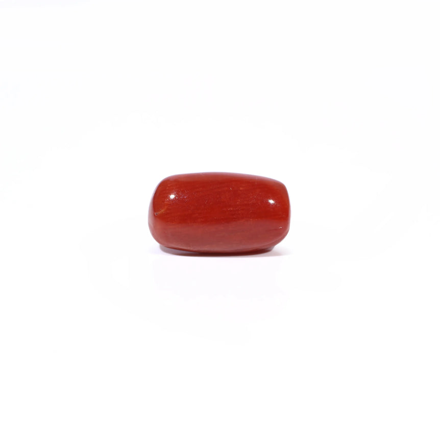 Red Coral - 4.8 Carat - Pramogh