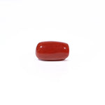 Red Coral - 4.8 Carat - Pramogh