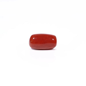 Red Coral - 4.8 Carat - Pramogh
